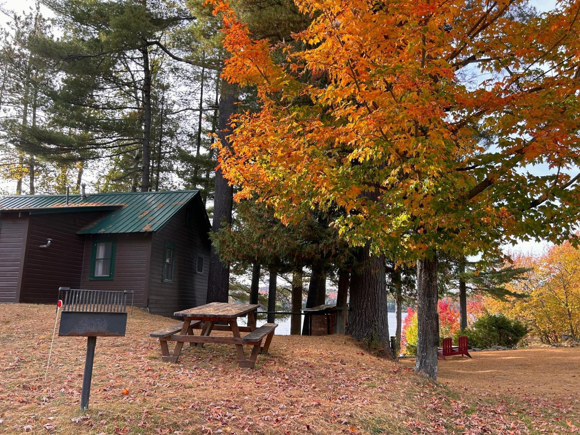 Paddler'S Rest Lakeside Cabins And Motel Long Lake Room photo