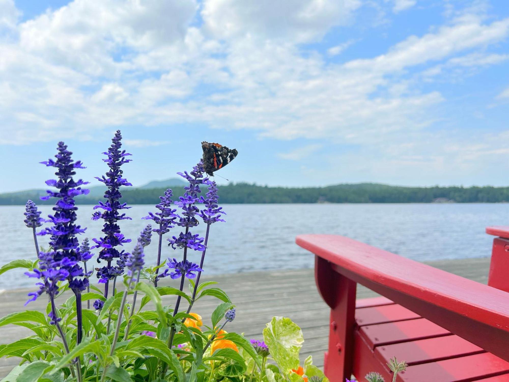 Paddler'S Rest Lakeside Cabins And Motel Long Lake Exterior photo